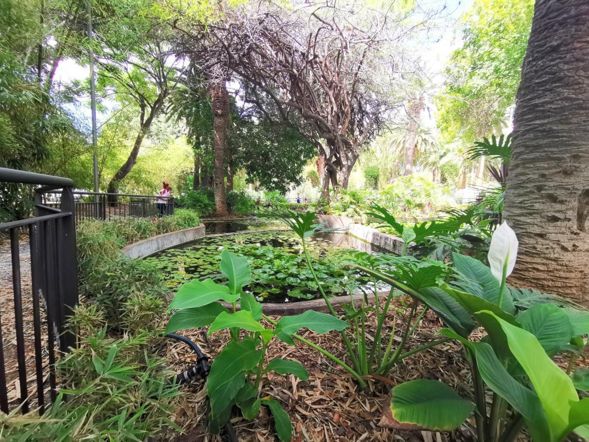 Home2Book Charming Studio Santa Cruz City Views Экстерьер фото